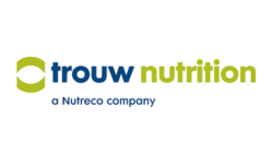 trouw https://codrix.dev/wp-content/uploads/2025/08/trouw.png